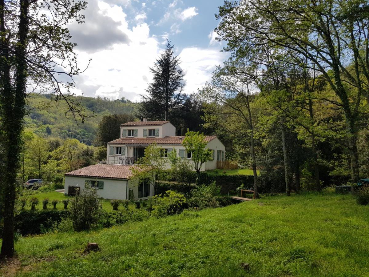 Beautiful Surrounded By Nature