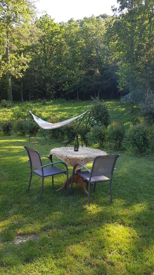 Beautiful Surrounded By Nature