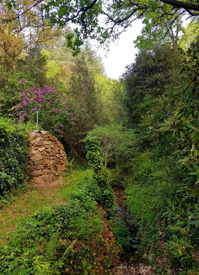 Beautiful Surrounded By Nature Holiday home *