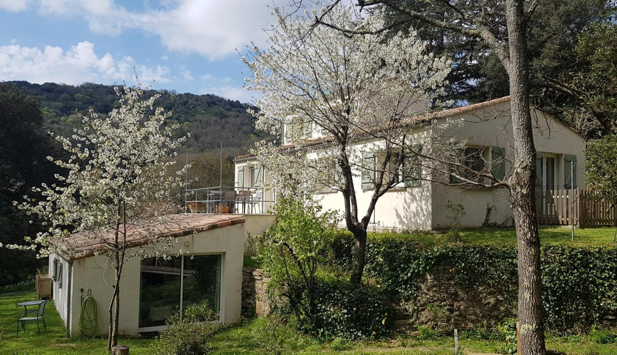 Beautiful Surrounded By Nature Holiday home Lanet